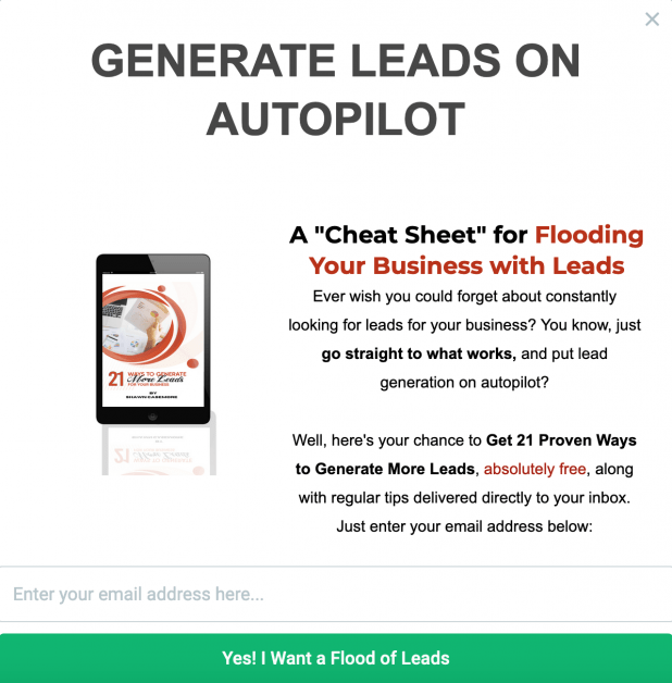 Attraction Marketing